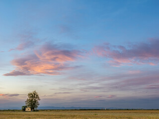 Sunset around the Albufera of Valencia (Spain)