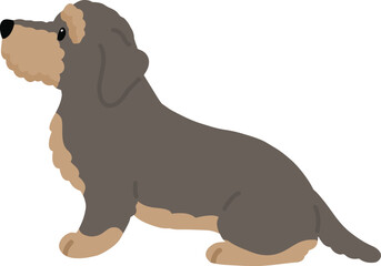 Simple and adorable illustration of Wire Haired Dachshund sitting in side view