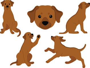 Simple and adorable illustration set of Rhodesian Ridgeback