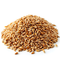 Fototapeta premium Pile of expanded wheat isolated on white background