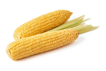 Fresh ears of corn, isolated on white background.