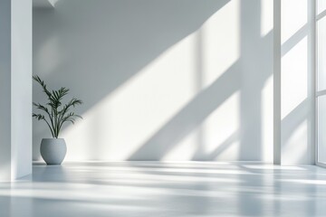 Minimalist Interior with Sunlight Streaming Through a Window