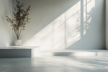 Fototapeta premium Minimalist White Room with a Plant and Sunbeams