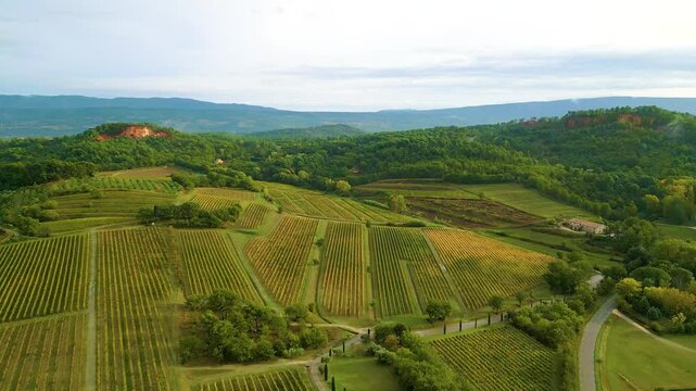Aerial view of a vineyard landscape in Provence (Roussillon), France (4k, UHD)