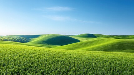 Fototapeta premium Serene Open Landscape with Rolling Hills and Clear Blue Sky, Ideal for Promotional Messages