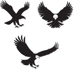 Black and white Eagle vector