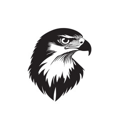 Hand drawn eagle head emblem set. Mascot bird collection. Predator logo illustration isolated on white