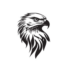 Beautiful Black And White Hawk Head Silhouette