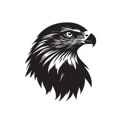 Beautiful Black And White Hawk Head Silhouette