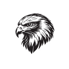 eagle head with good quality design vector illustration