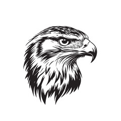 Hand drawn eagle head emblem set. Mascot bird collection. Predator logo illustration isolated on white