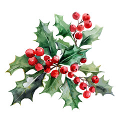 Watercolor Christmas Holly berry, branch with red berries and green leaves, holly on an isolated white background, watercolor illustration, hand drawing, Watercolor Christmas red Holly berry