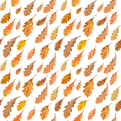 Hand drawn Seamless pattern of Autumn oak leaves. Aquarelle pieces of Withered leaves