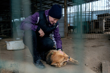 Dog at the shelter. Animal shelter volunteer feeding the dogs.