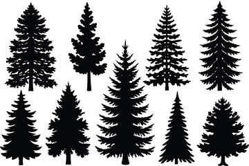 Set of Pine tree silhouette icon, vector illustration on white background.