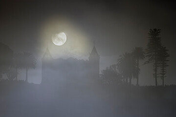 Fototapety na wymiar - Fototapeta24.pl