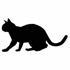 Black Cat Silhouette