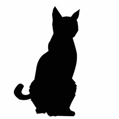 Black Cat Silhouette