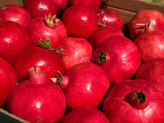 Pomegranate ripe fruits