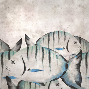 stylish square textured old paper background with watercolor of Diplodus sargus,  sargo, common white seabream