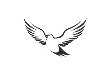 Fototapeta premium White bird line dove.