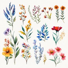 A vibrant collection of various floral elements illustrated artistically for decorative or graphic design purposes.