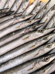 Fototapeta premium fresh fish on ice