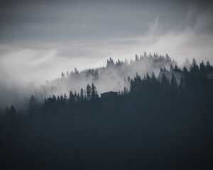 moody foggy silhouetted mountain landscape
