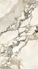 Obraz premium Silver and White Marble, Marbled, Abstract Image, Texture, Pattern Background, Wallpaper, Cover and Screen for Smartphone, PC, Laptop, 9:16 and 16:9 Format