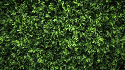 Vibrant Green Foliage Wallpaper