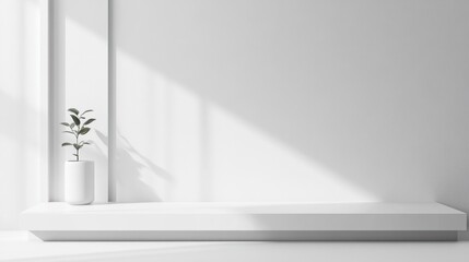 Minimalist White Shelf with Plant in a Sunlit Room