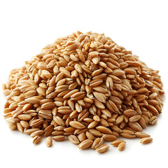 Obraz premium Pile of expanded wheat isolated on white background