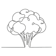 A broccoli with a lot of branches. The broccoli is very large and has a lot of detail