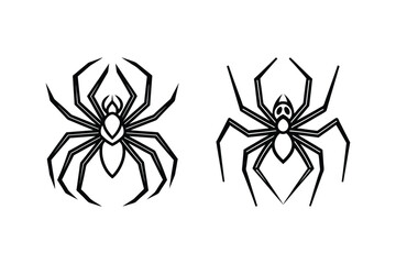 Fototapeta premium black spider isolated on white