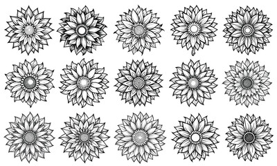 Sunflower Coloring Page for Adults, intricate line art design showcasing detailed petals and leaves, perfect for relaxation and stress relief, ideal for adult coloring books or printable art therapy 