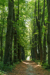 Spätsommer in der Krummhörn