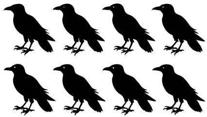 set of crow birds silhouettes vector illustration black animal 