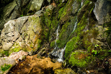 A small waterfall is surrounded by soft mosscovered rocks