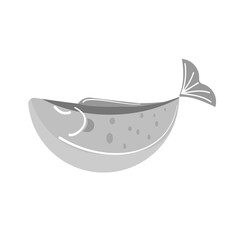 fish on a white background