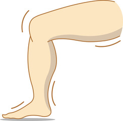 illustration of a leg