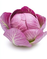 Obraz premium A large pink cabbage with green leaves
