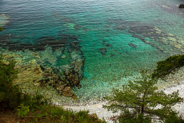 A stunning view of the vast ocean from a high cliff with trees