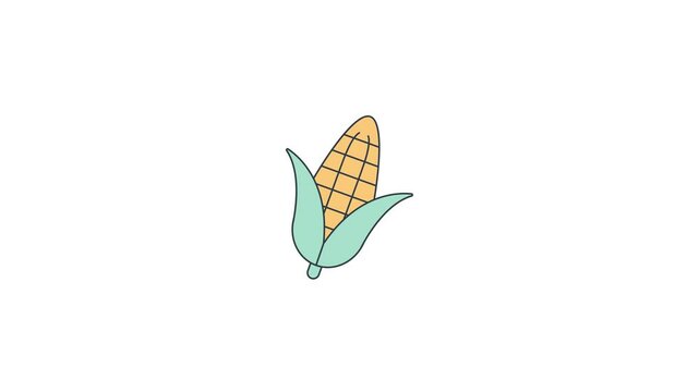 Animated of Corn icon motion graphic animation. Vegetable concept icon animation