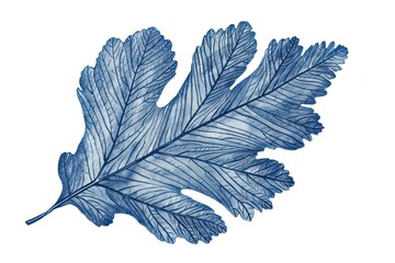 Antique of coral leaf sketch plant tree.