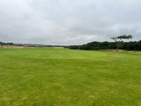 golf course. nature, golf, golf course, nature, grass, sky, field, landscape, green, meadow, summer, cloud, clouds, tree, blue, countryside, course, hill, view, spring, country, trees, mountain, lawn,
