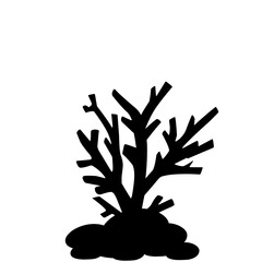 Coral Silhouette