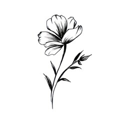 Flower pattern drawing sketch.