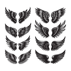 wings icon set Collection Vector illustration