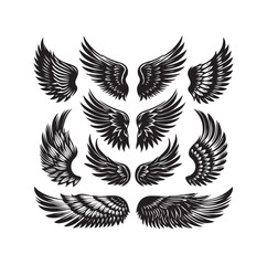 wings icon set Collection Vector illustration