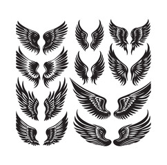 Obraz premium wings icon set Collection Vector illustration
